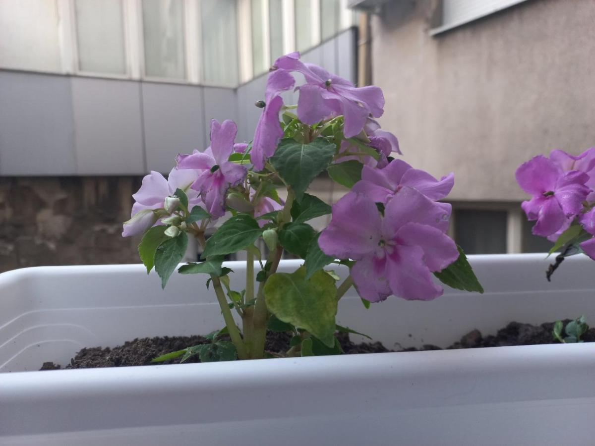 Apartman Central Place ベオグラード エクステリア 写真